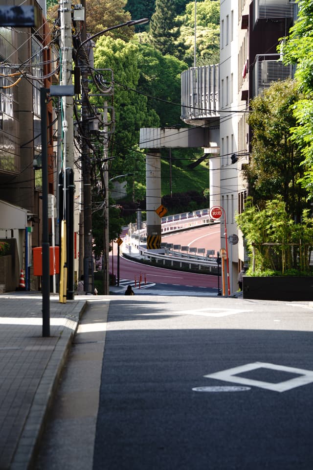 城市街道蜿蜒向下，两旁是高楼和绿树，阳光洒在路面上，显得宁静而整洁。