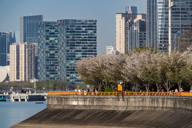 城市河岸边，樱花树盛开，行人悠闲漫步，背景是现代高楼大厦。