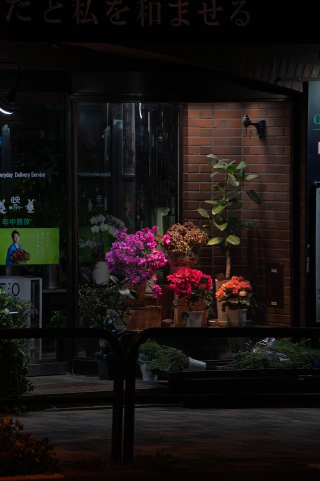 夜晚的花店橱窗内，摆放着色彩鲜艳的花卉和绿色植物，灯光柔和地照亮了整个展示区域。