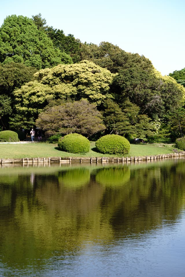 湖面倒映着岸边的绿树和灌木，景色宁静而自然。