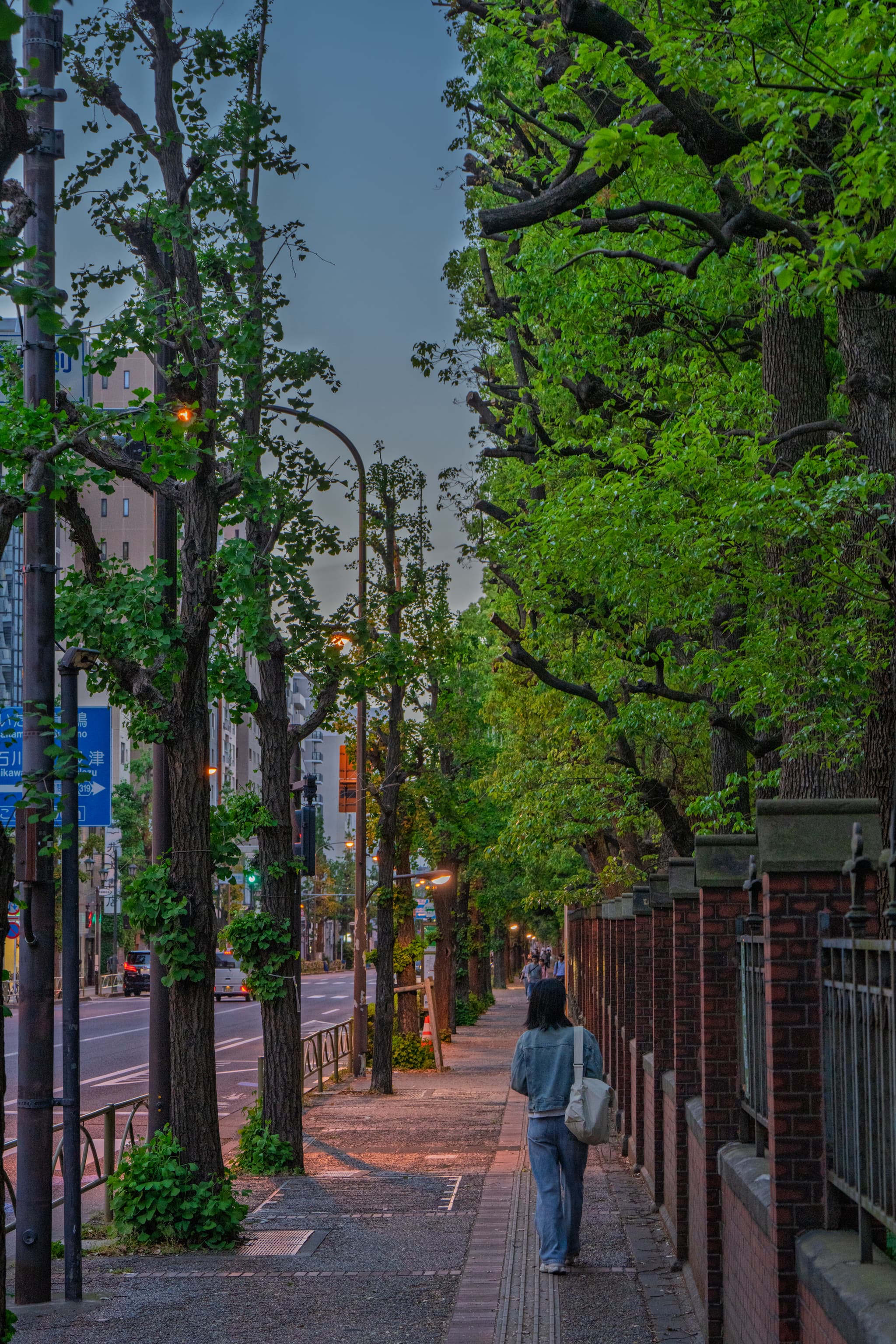 城市街道旁，绿树成荫的人行道上，一位行人背着包缓步前行，周围环境宁静而整洁。