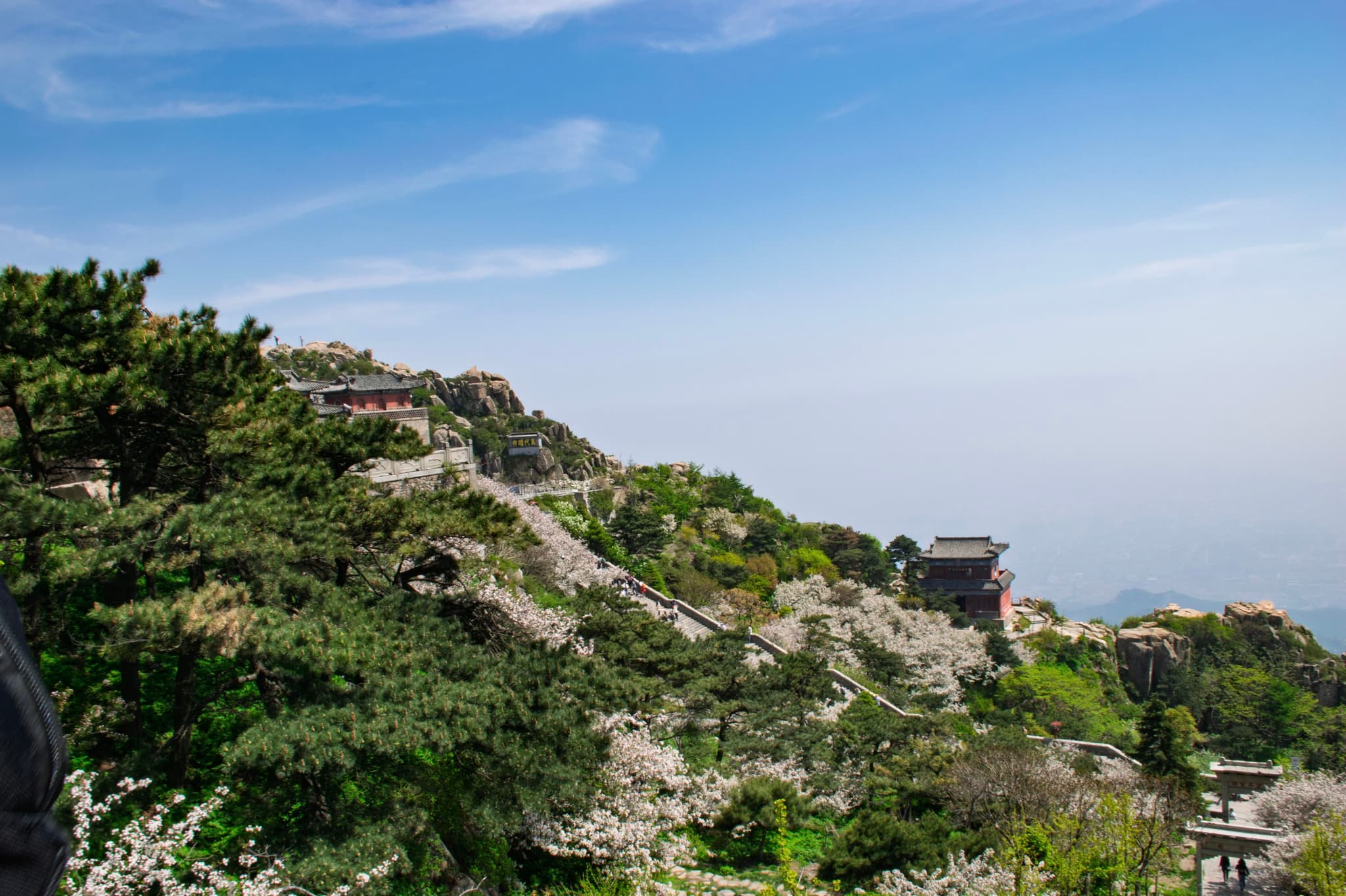 山坡上覆盖着茂密的绿色植被，山顶有几座建筑物，背景是晴朗的蓝天。