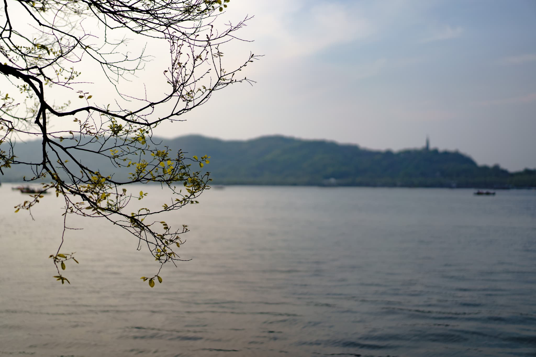 湖面平静，远处是连绵的山峦，山顶隐约可见一座塔。前景有树枝，树叶稀疏，天空略显阴沉。